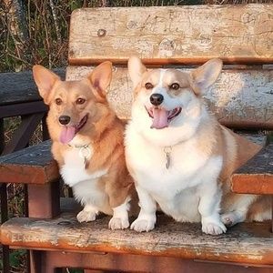 Meet your Posher, Simon